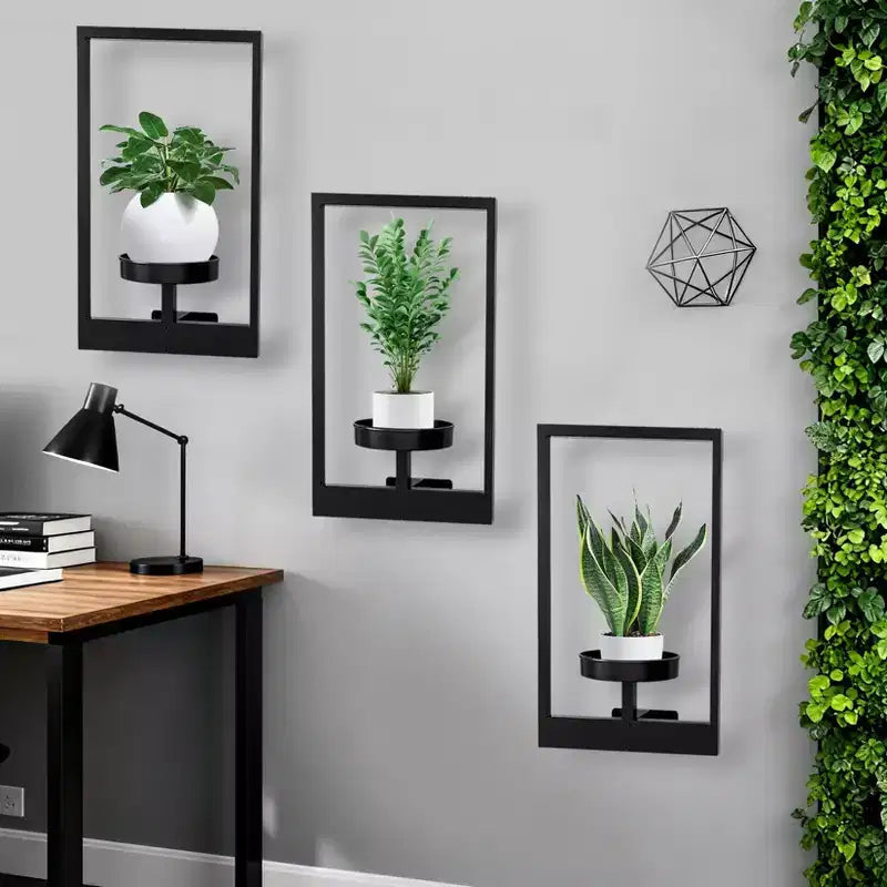 Étagères murales en métal noir pour plantes et jardinières