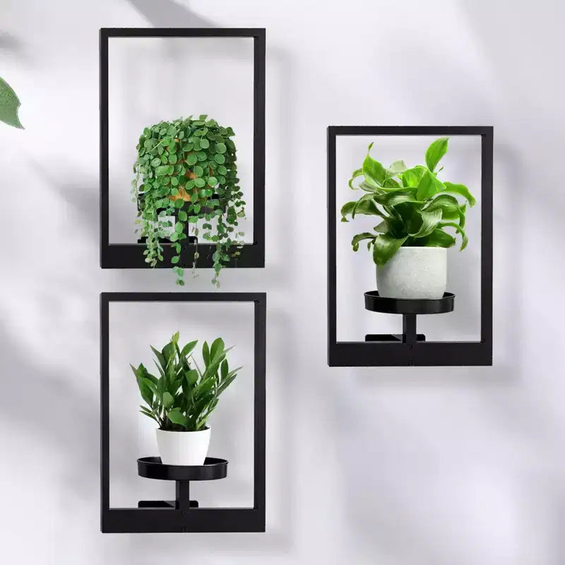 Étagères murales en métal noir pour plantes et jardinières