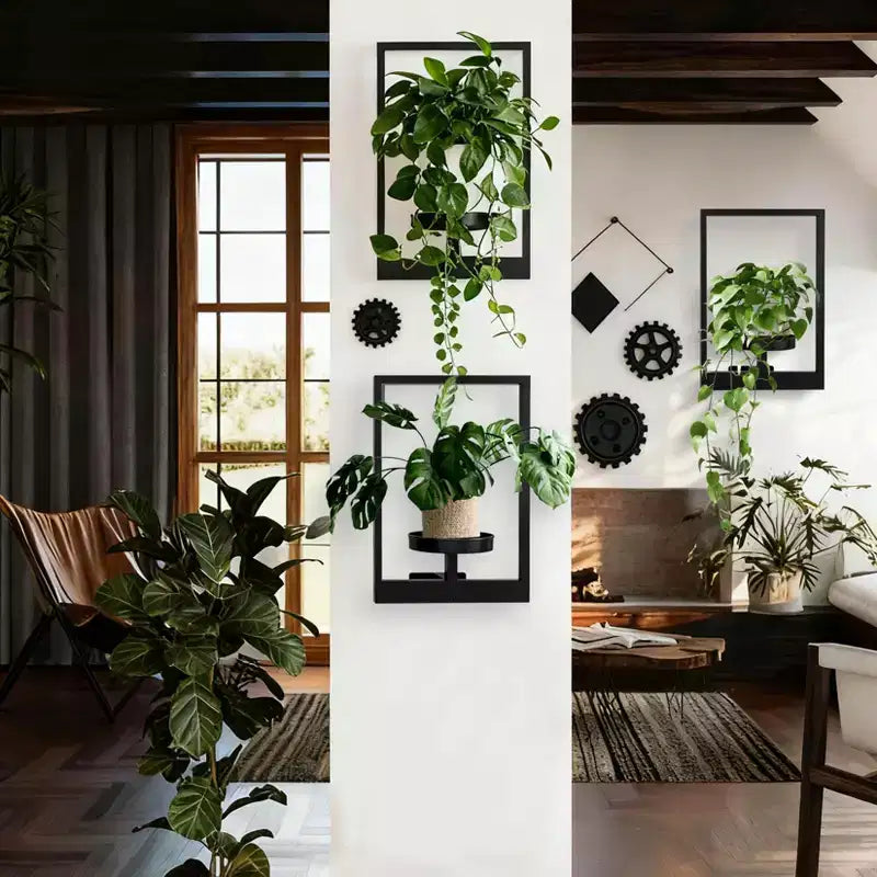 Étagères murales en métal noir pour plantes et jardinières
