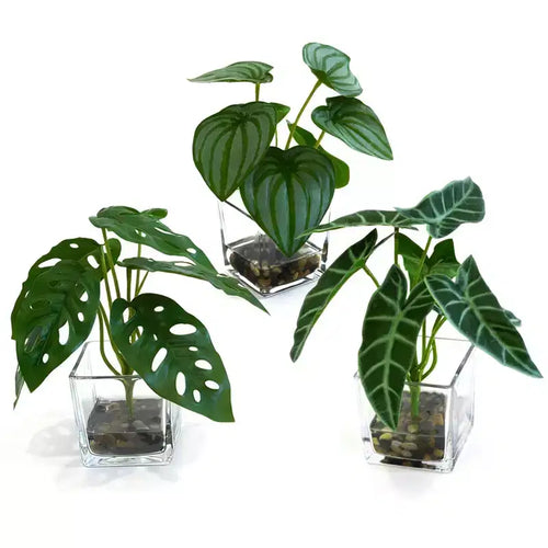 Set of 3 Artificial Potted Plants C 8cm Green Mini Tropical Foliage for Desk/Office/Shelf Decor